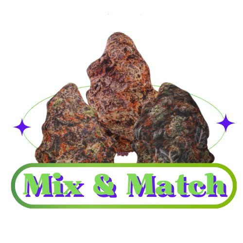 Mix & Match Combo Pack